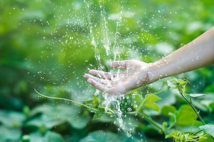 Water From Plumbing In Gainesville, FL