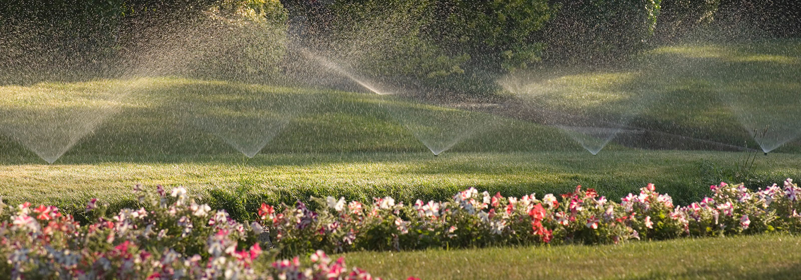 Sprinkler System