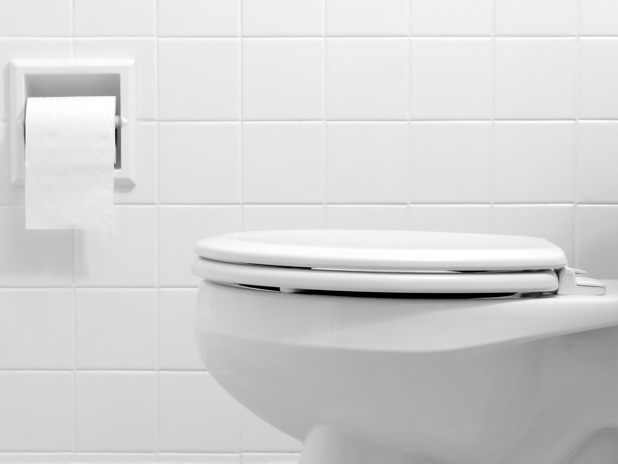 Signs It’s Time To Replace Your Toilet Banner Image